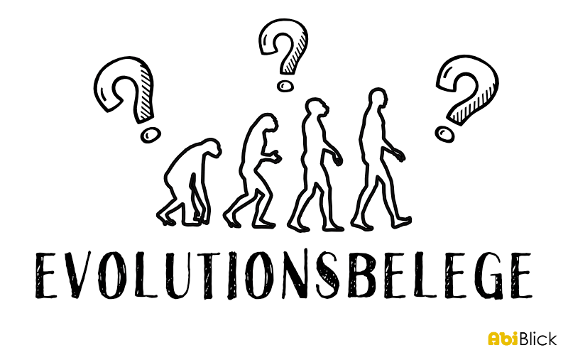 Evolutionsbelege einfach erklärt